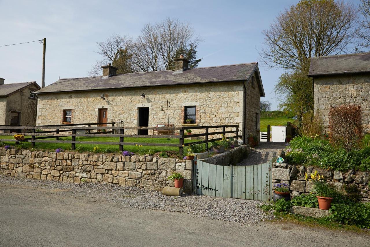 Kilquiggan Cottages Coolkenno Extérieur photo
